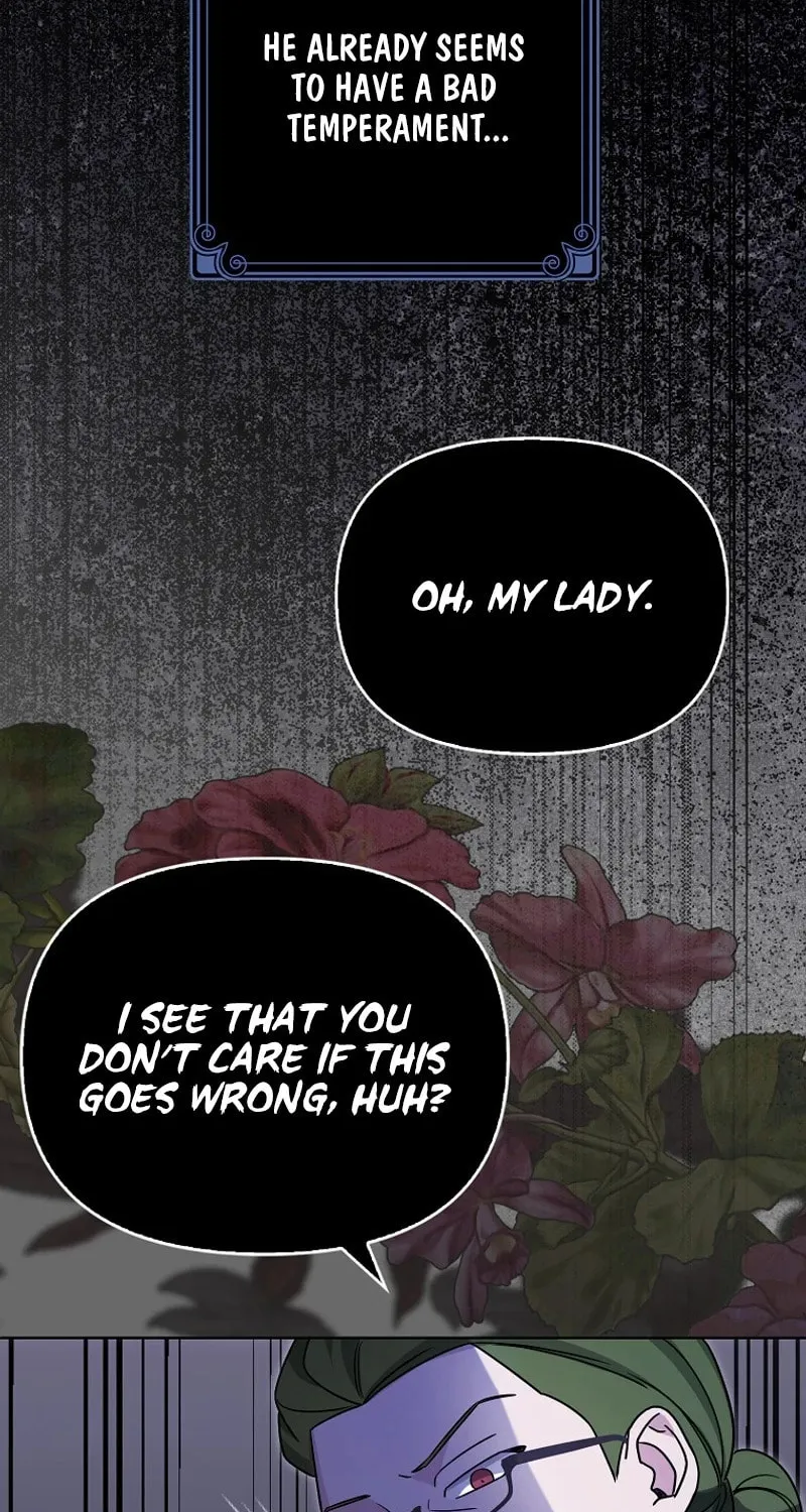The Villainess