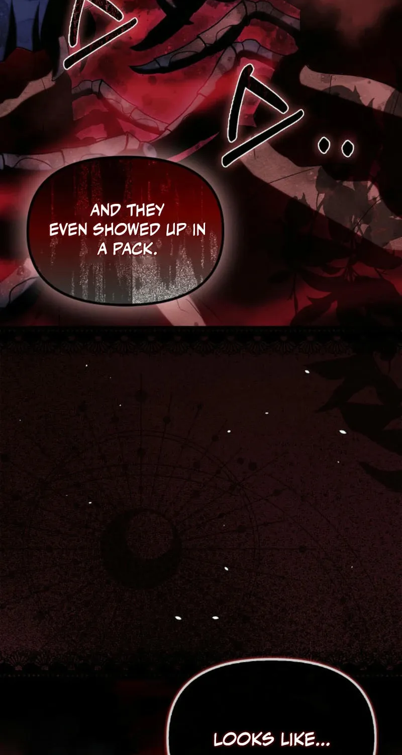 The Villainess