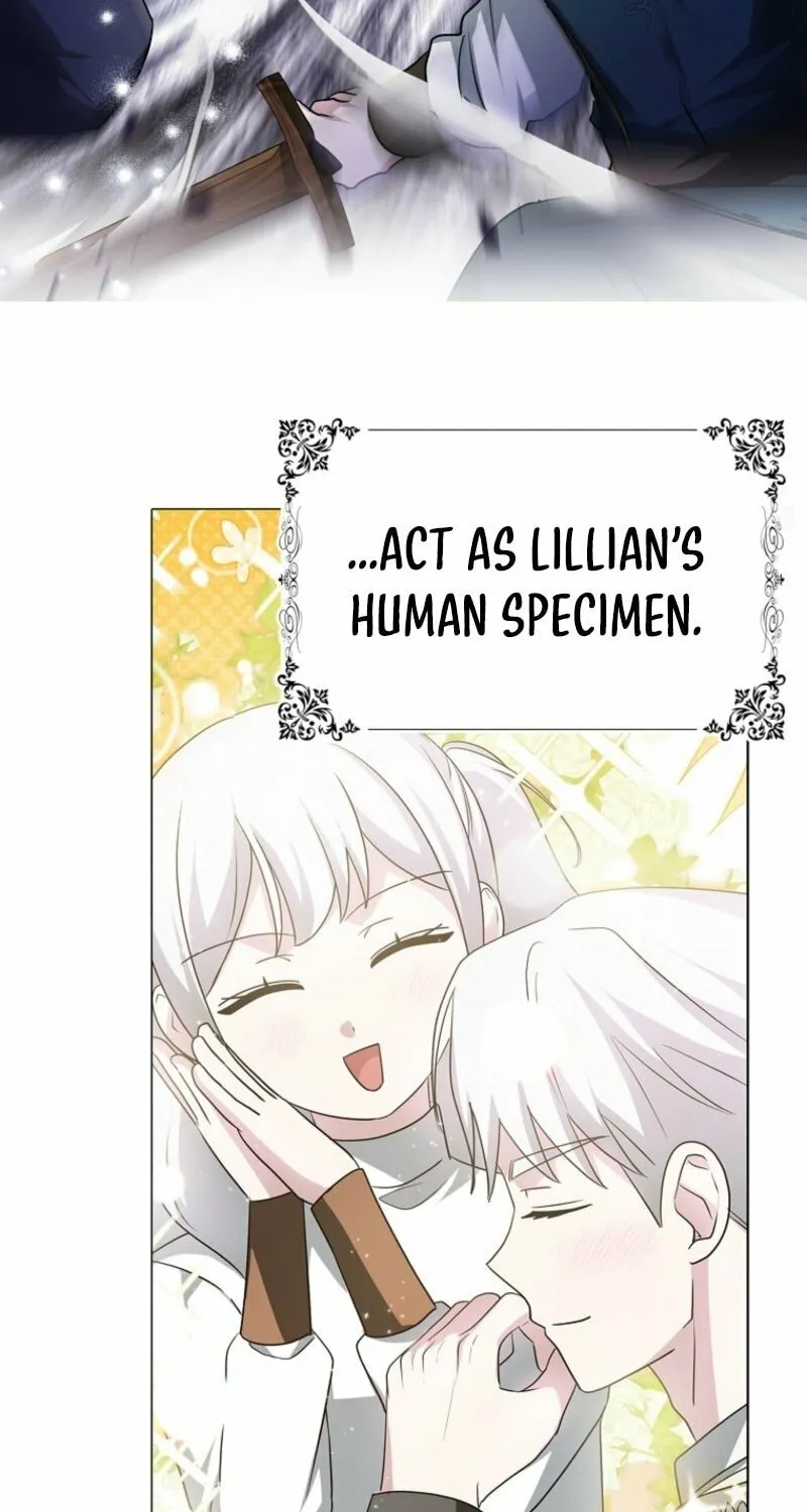The Villainess