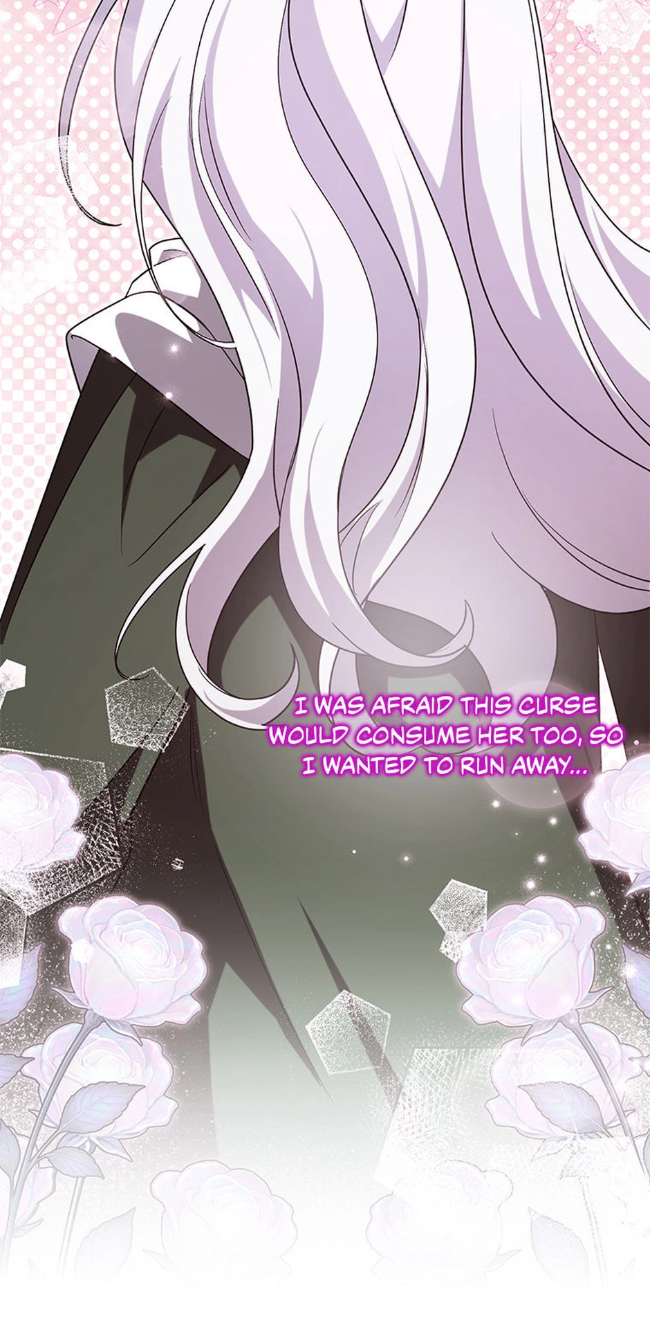The Villainess