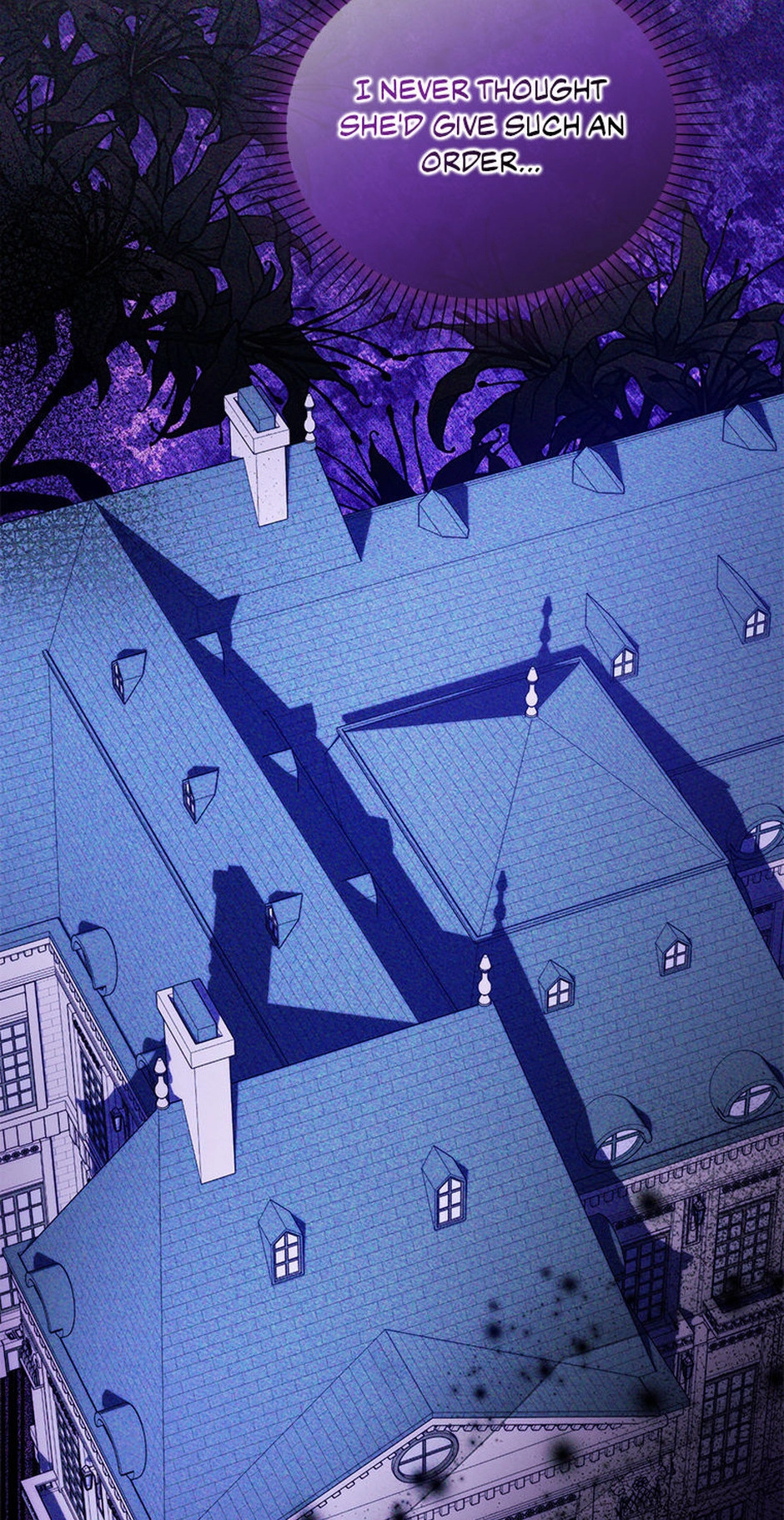 The Villainess