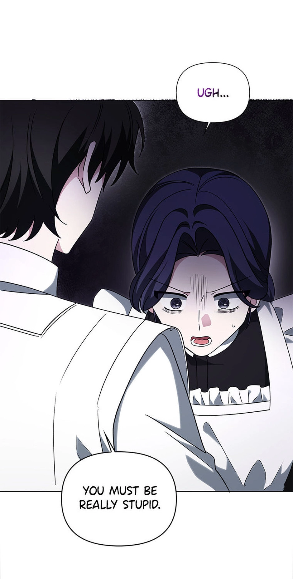 The Villainess