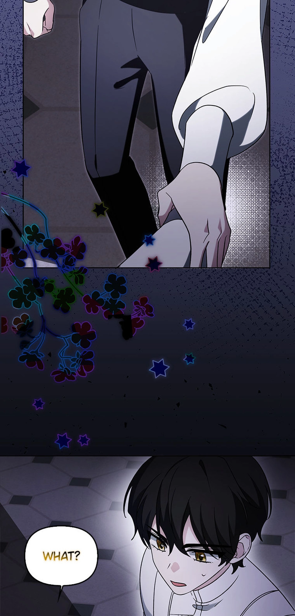 The Villainess