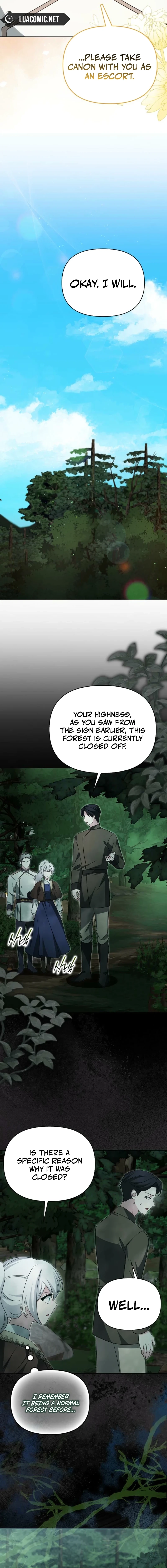 The Villainess