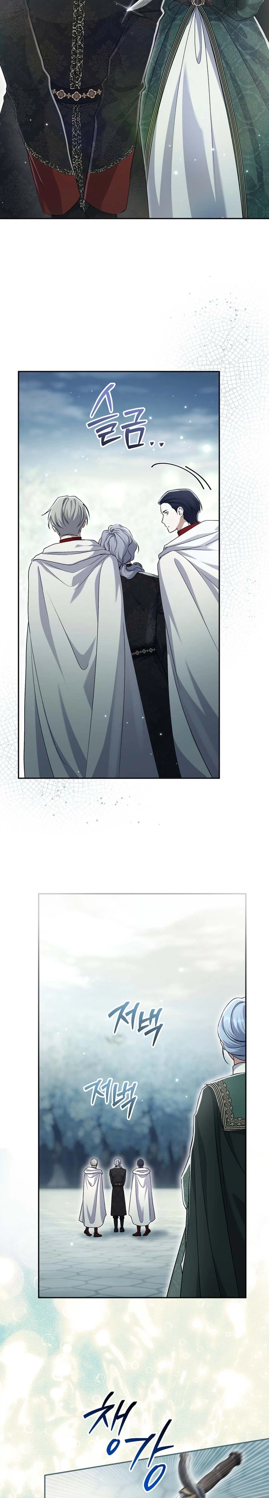 The Villainess