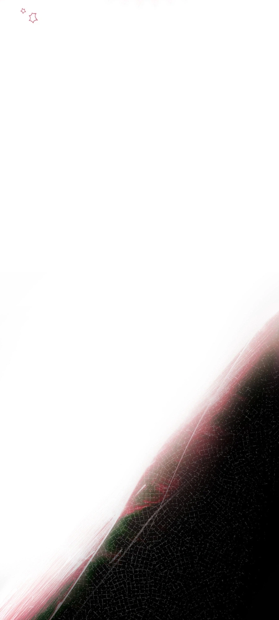The Villainess