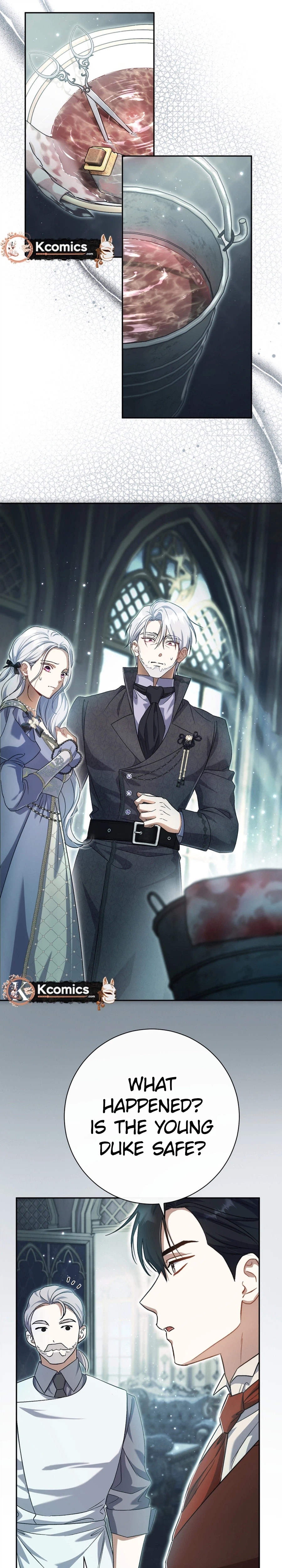 The Villainess