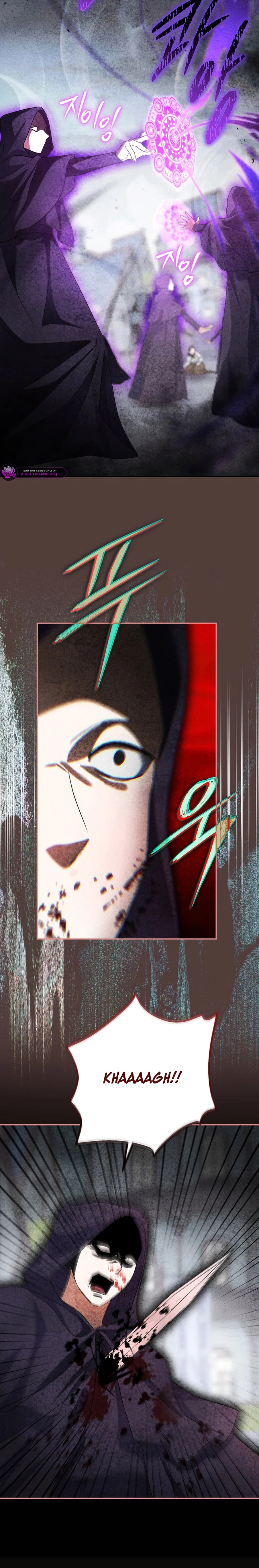 The Villainess