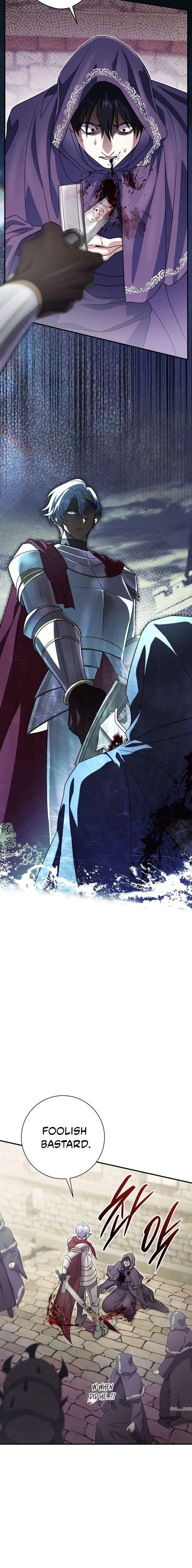 The Villainess