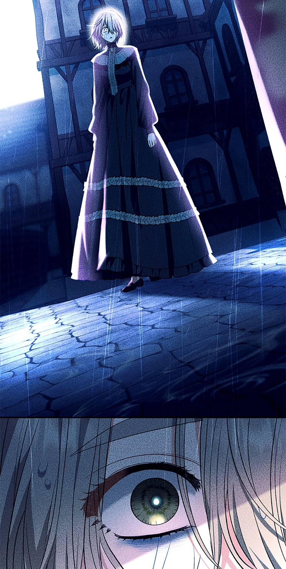 The Villainess