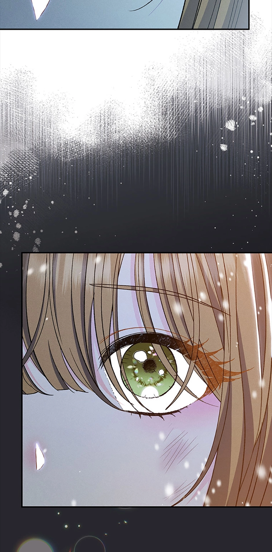 The Villainess
