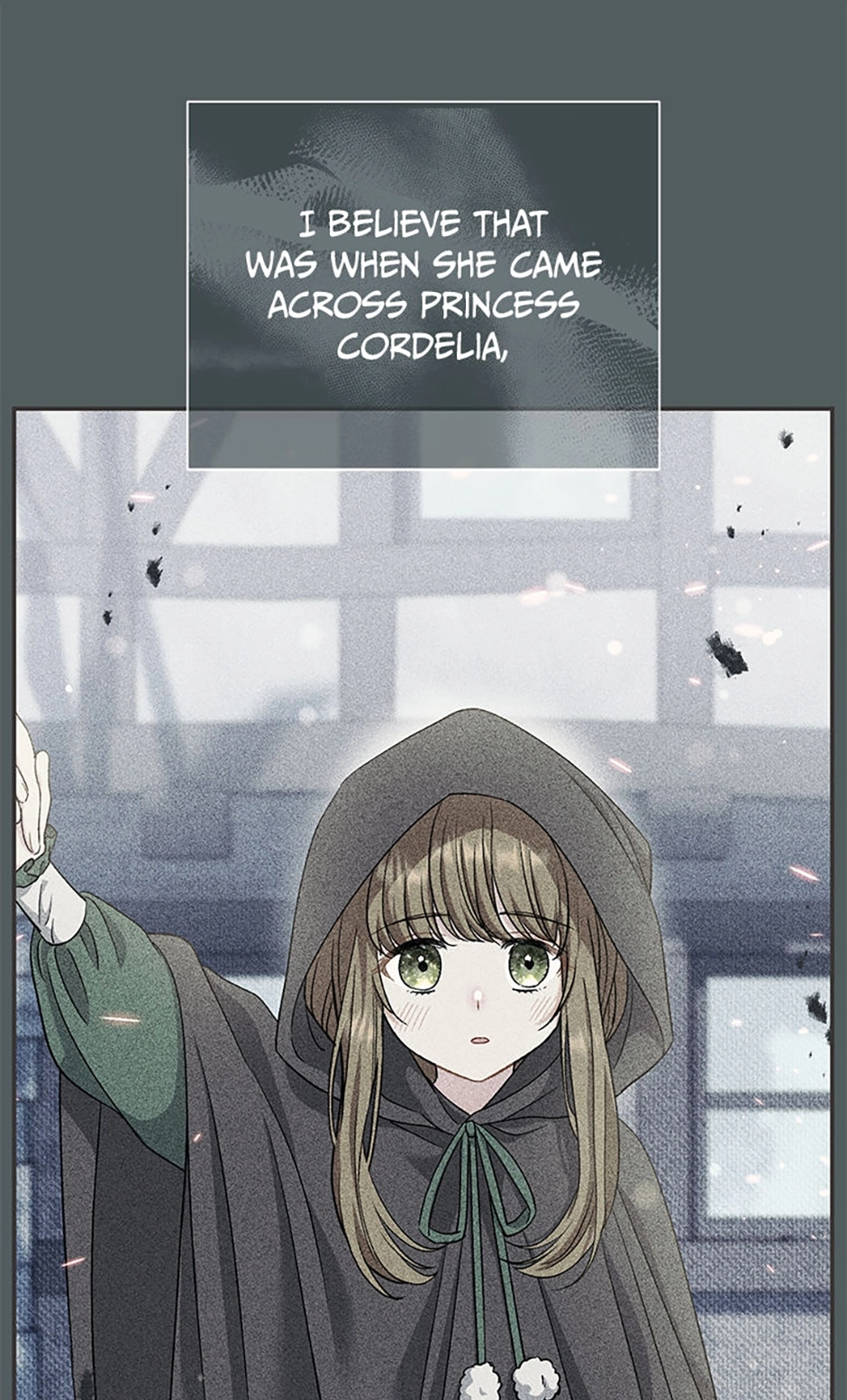 The Villainess