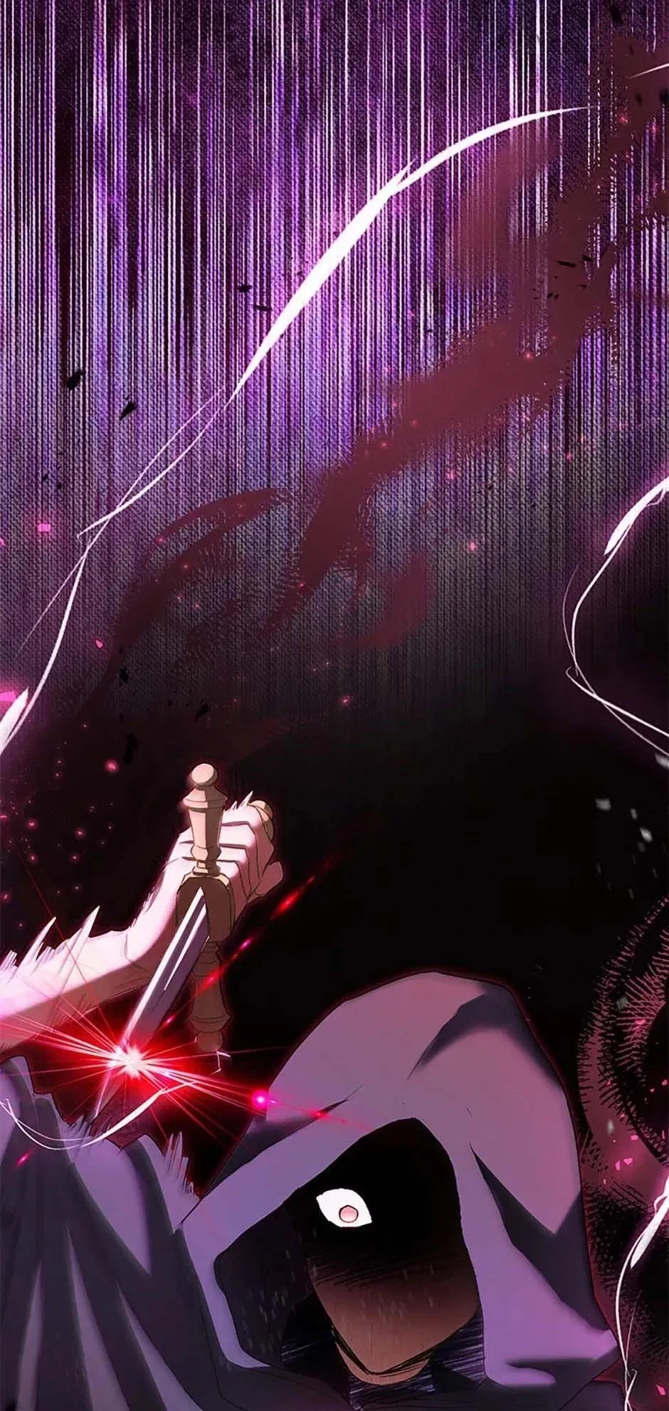 The Villainess