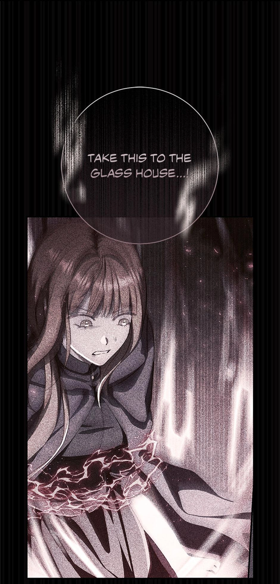 The Villainess