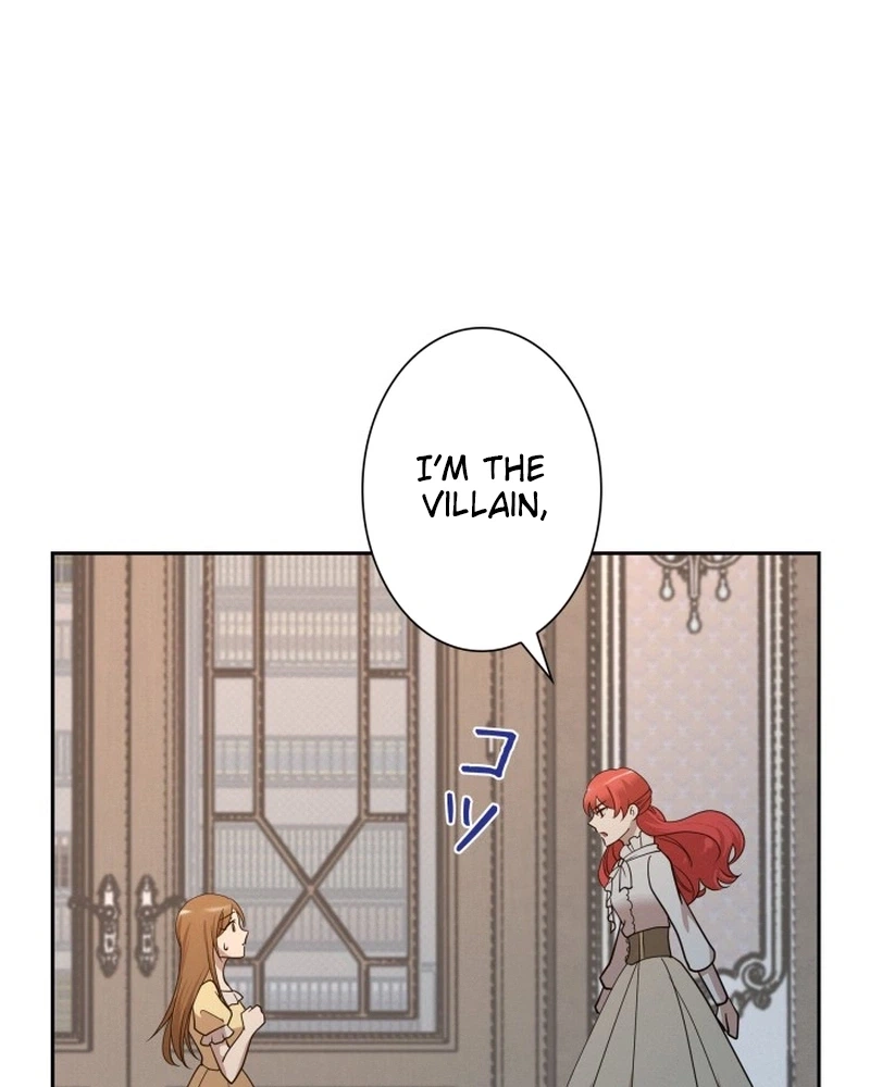 The Villainess