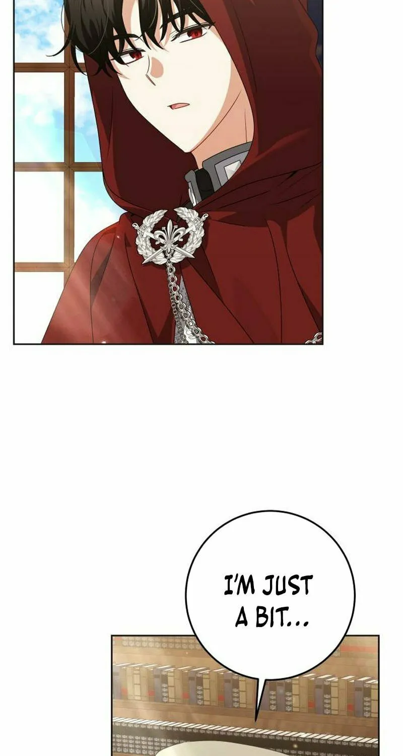 The Villainous Family Is Against Independence Chapter 26 page 46 - 