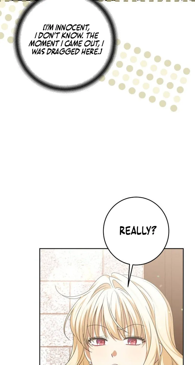 The Villainous Family Is Against Independence Chapter 34 page 43 - 