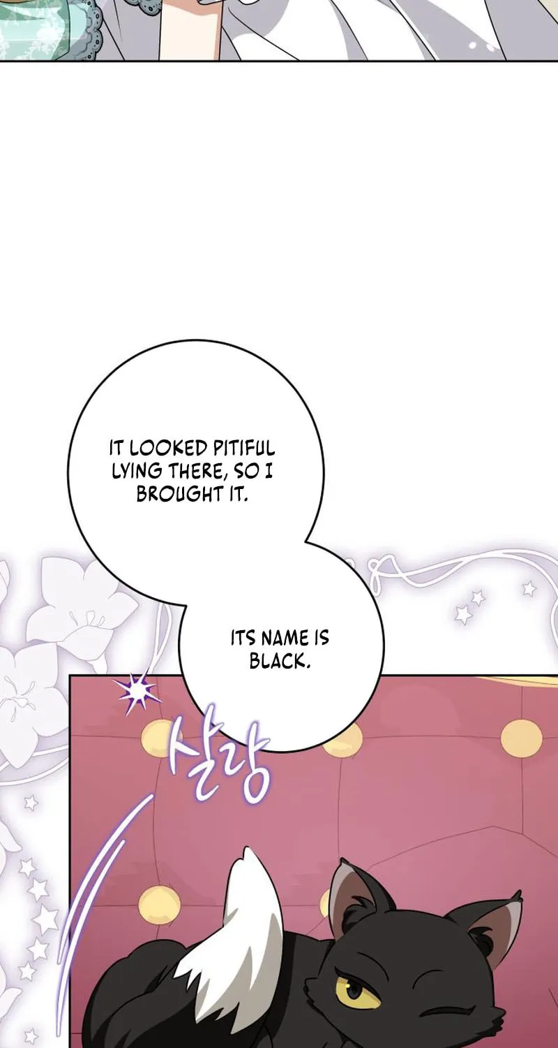 The Villainous Family Is Against Independence Chapter 45 page 53 - 