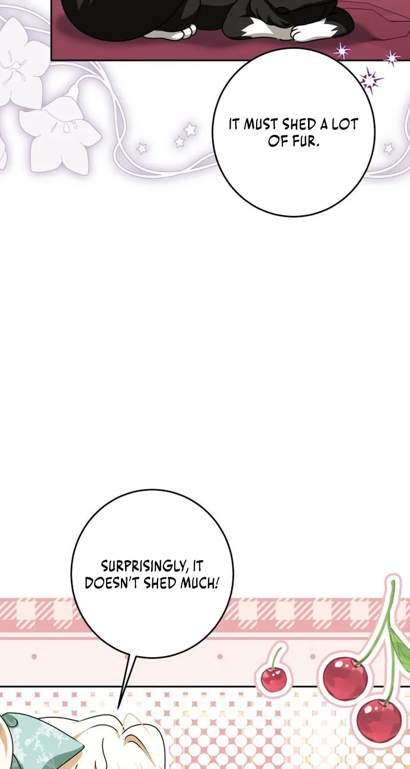 The Villainous Family Is Against Independence Chapter 45 page 54 - 