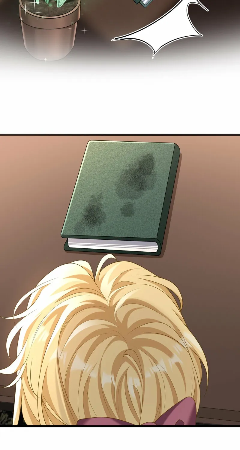The Villainous Stepsister Is Being Hypocritical Today Too Chapter 9 page 33 - 