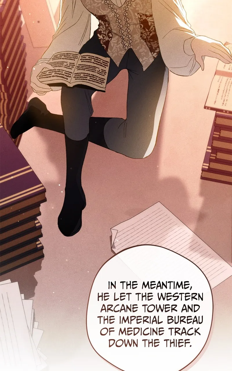 The Villainous Tyrant has Returned Chapter 35 page 90 - 