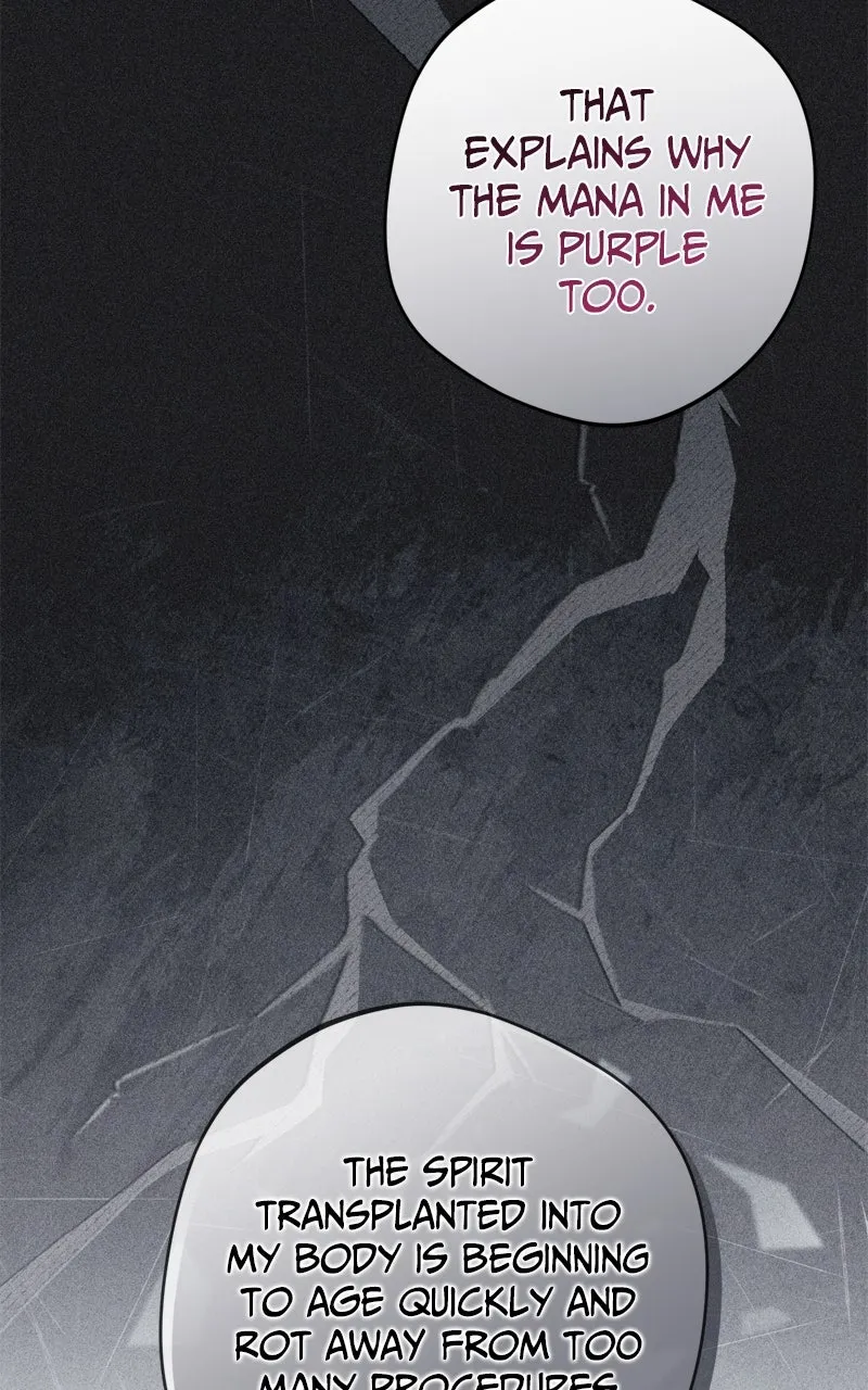 The Villainous Tyrant has Returned Chapter 63 page 65 - 