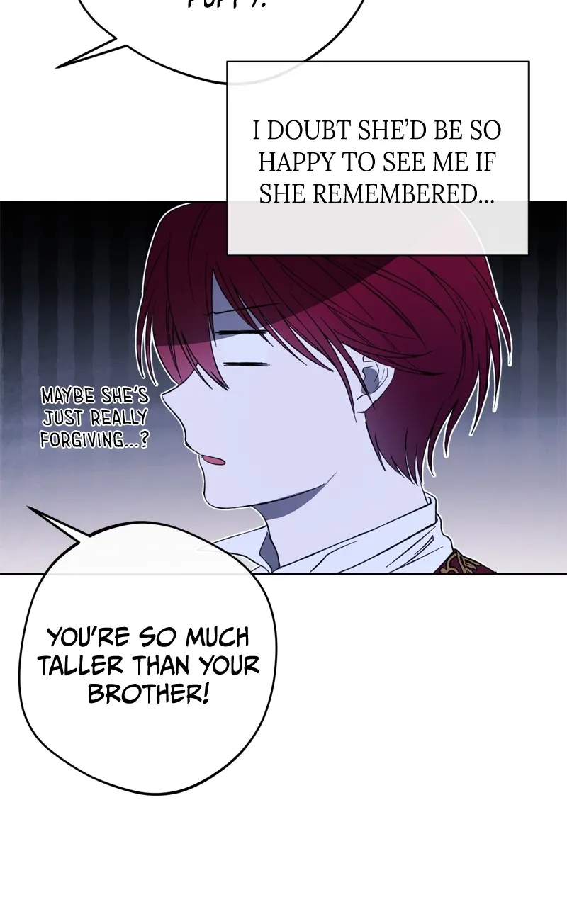 The Villainous Tyrant has Returned Chapter 9 page 96 - 