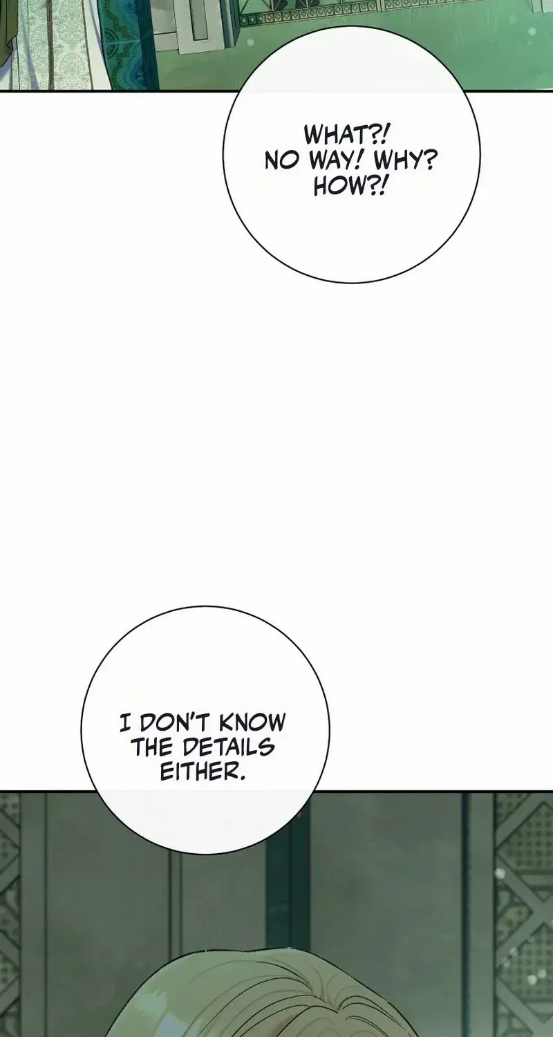 The Villain’s Match Is Too Perfect Chapter 80 page 65 - 