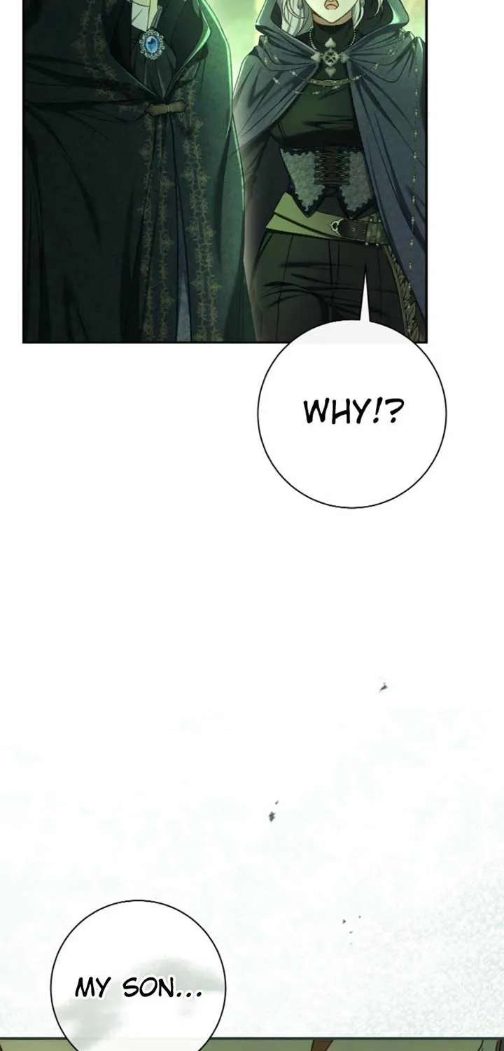 The Villain’s Match Is Too Perfect Chapter 81 page 100 - 