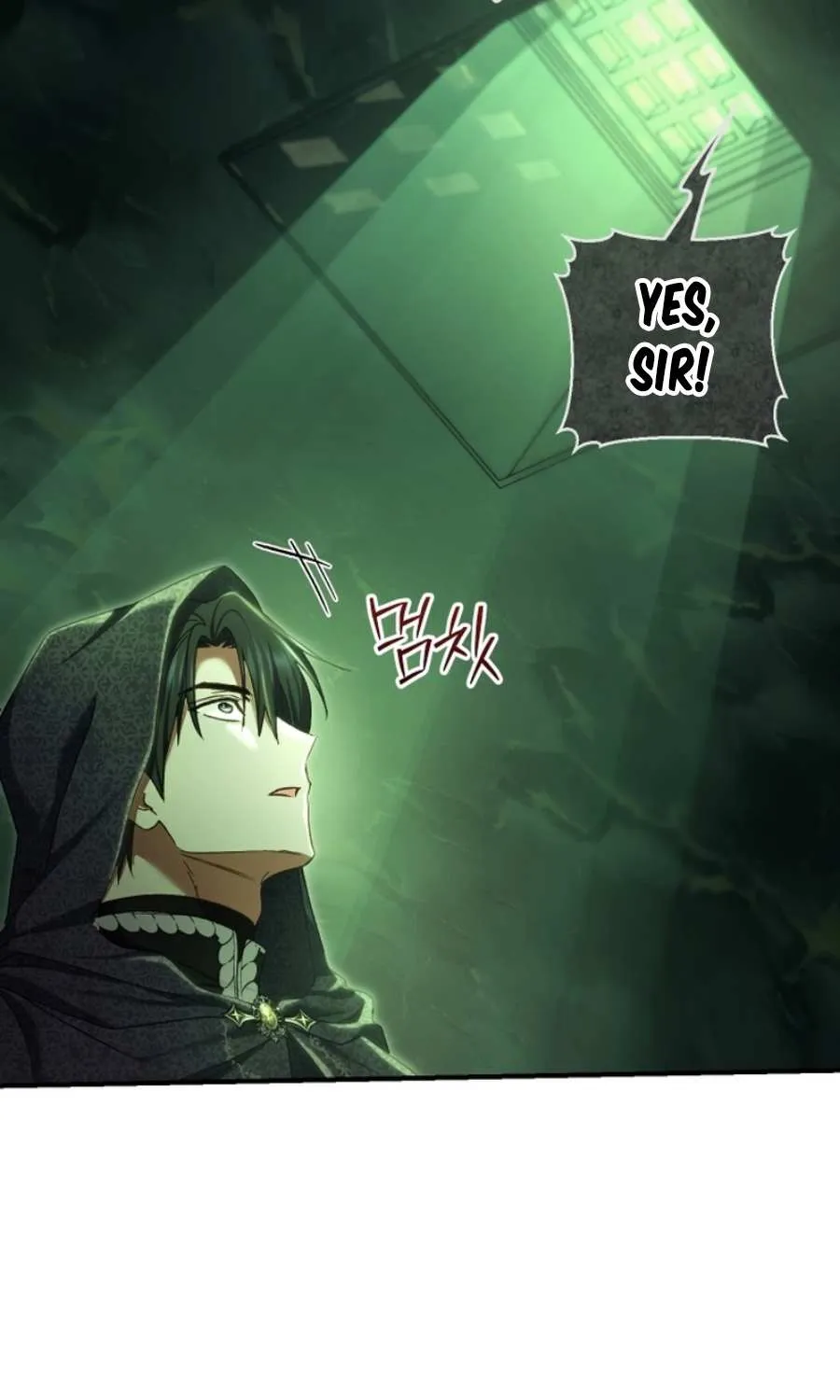 The Villain’s Match Is Too Perfect Chapter 84 page 17 - 