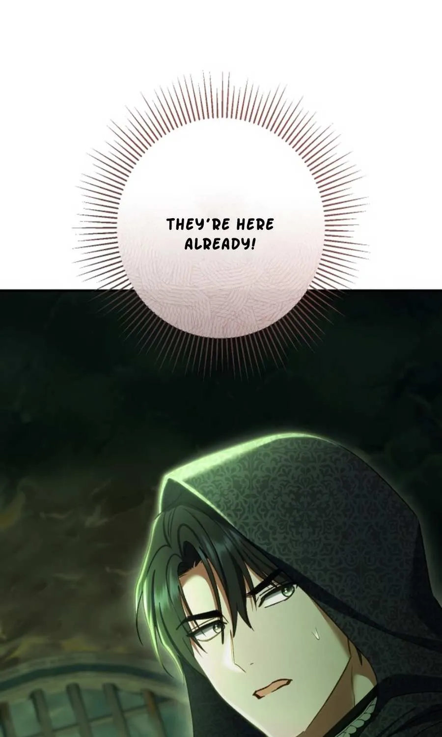 The Villain’s Match Is Too Perfect Chapter 84 page 31 - 