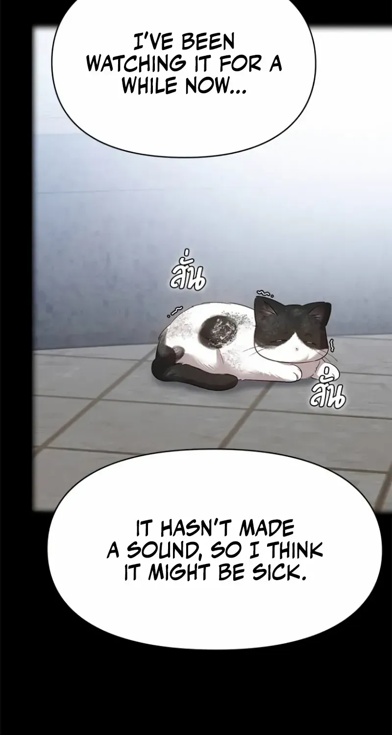 The Visitor Of The Night Chapter 34 page 24 - 