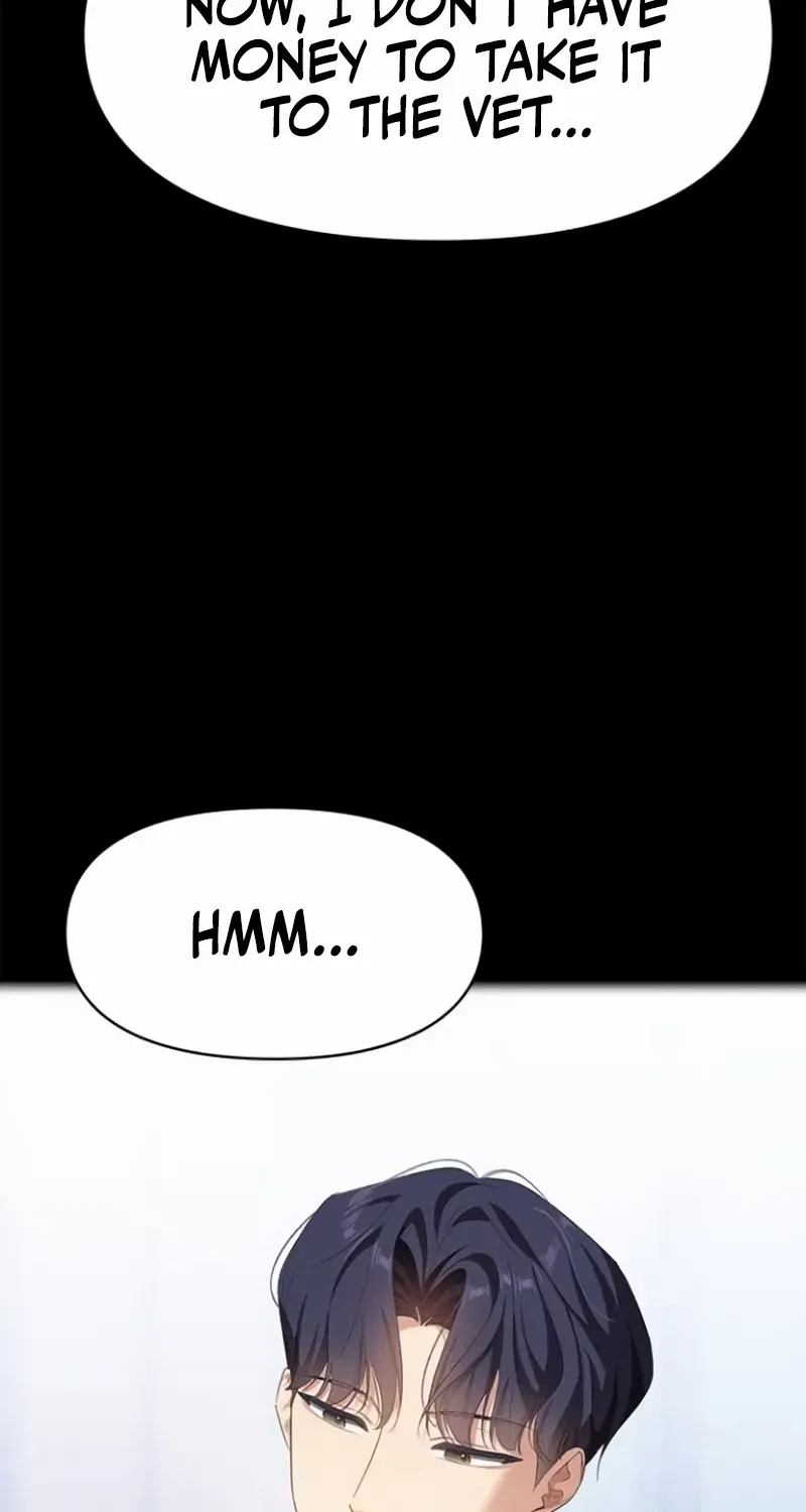 The Visitor Of The Night Chapter 34 page 27 - 