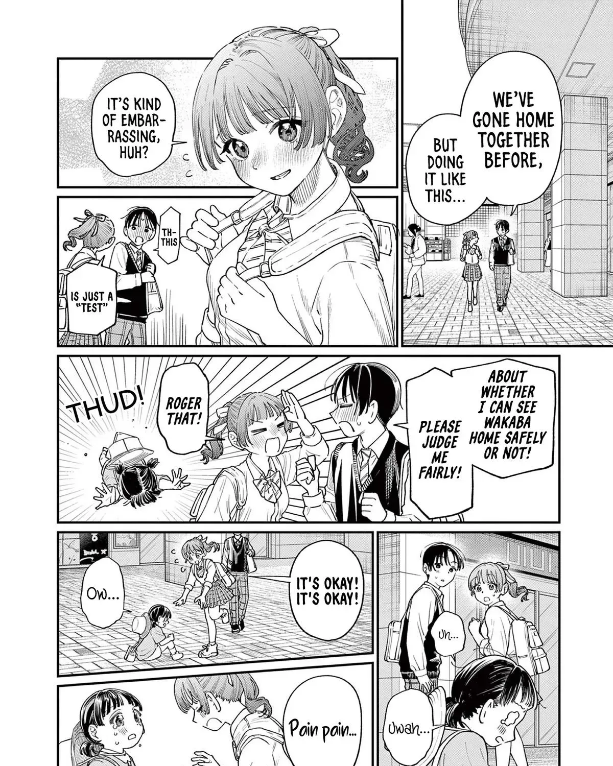 The Wakaba Home