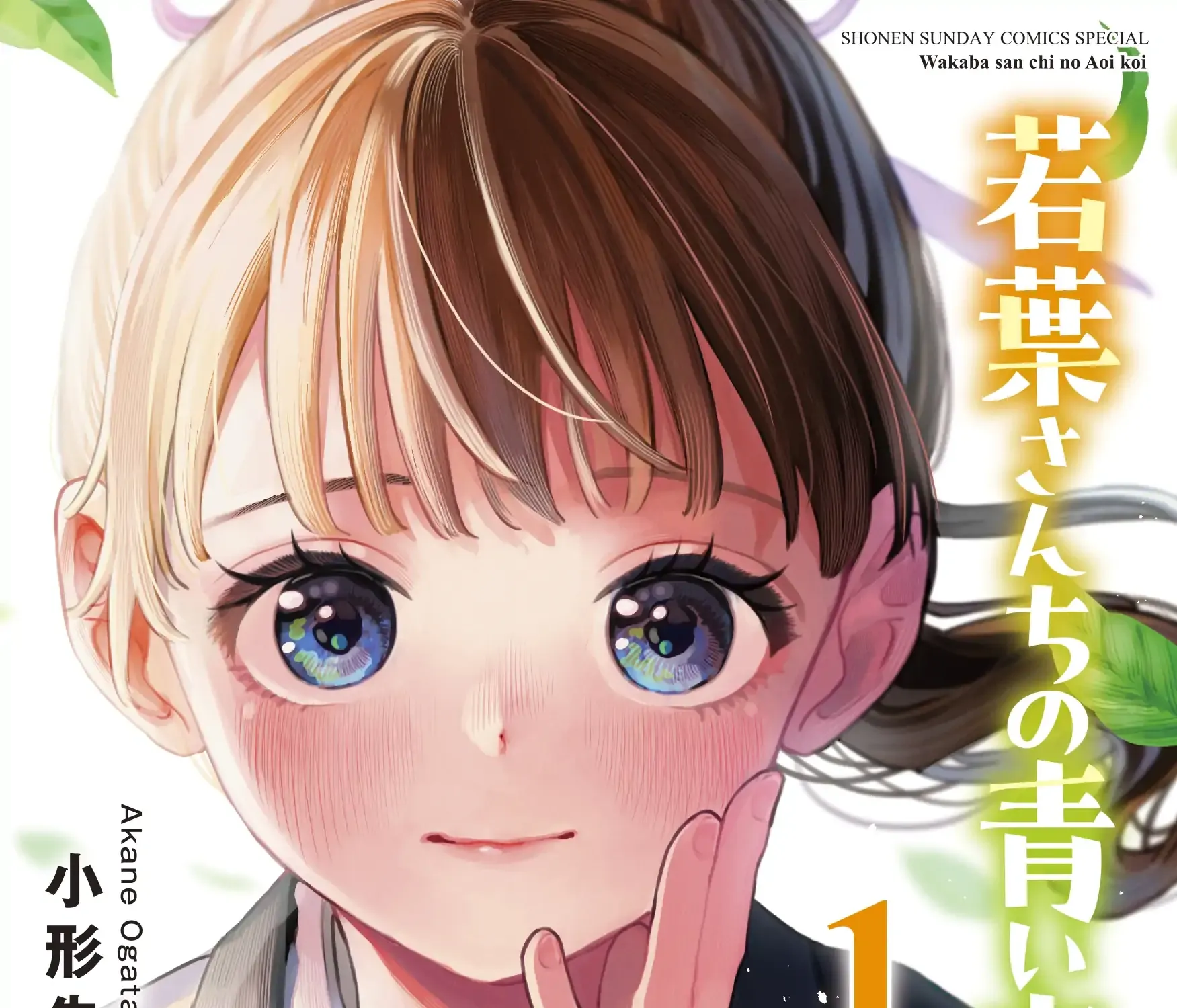 The Wakaba Home
