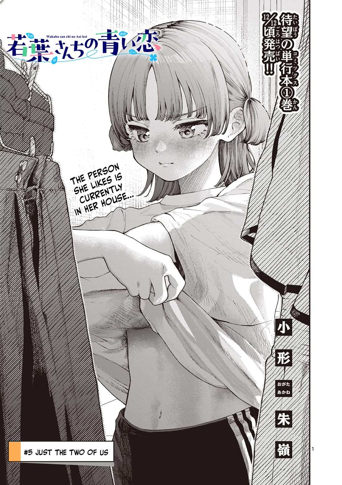 The Wakaba Home
