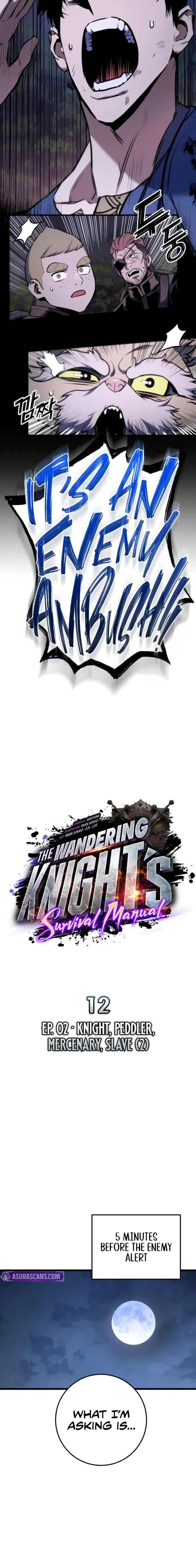 The Wandering Knight