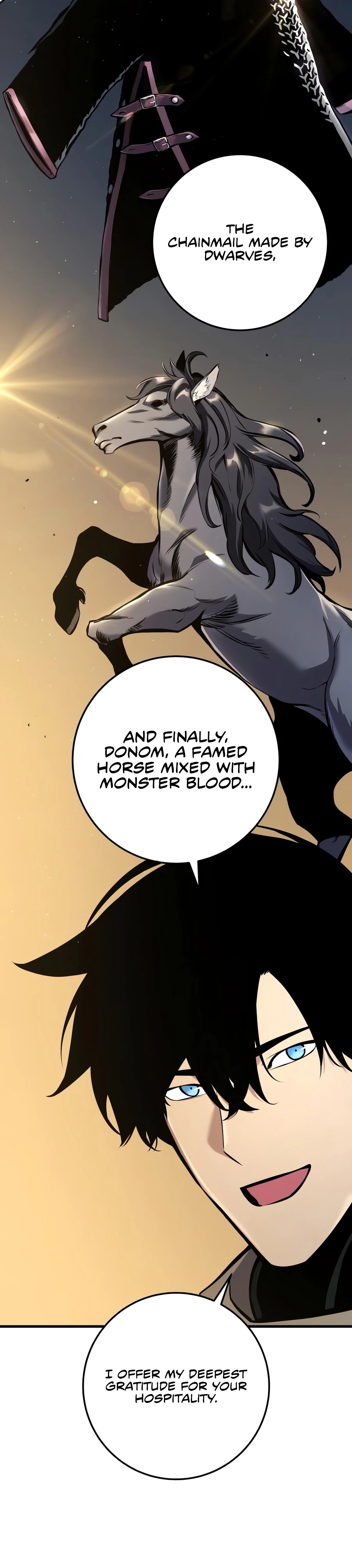 The Wandering Knight’s Survival Manual Chapter 42 page 30 - 