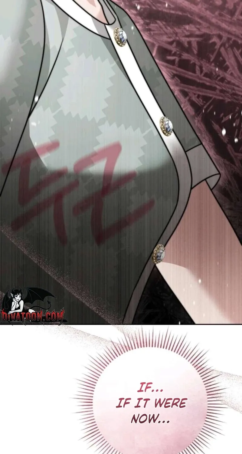 The Wavering Husband Chapter 24 page 102 - 