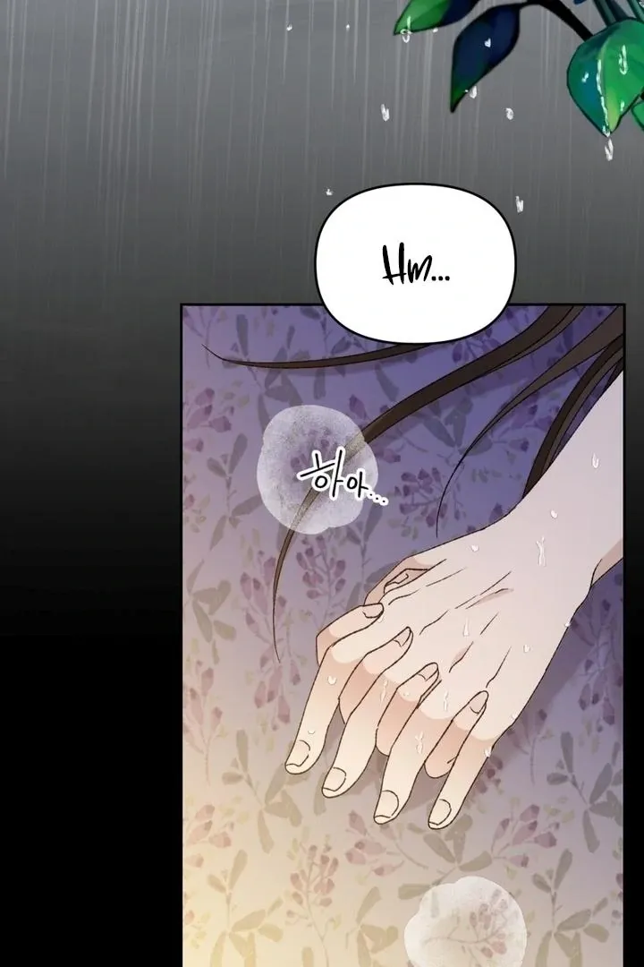 The white-haired merman Chapter 13 page 3 - 