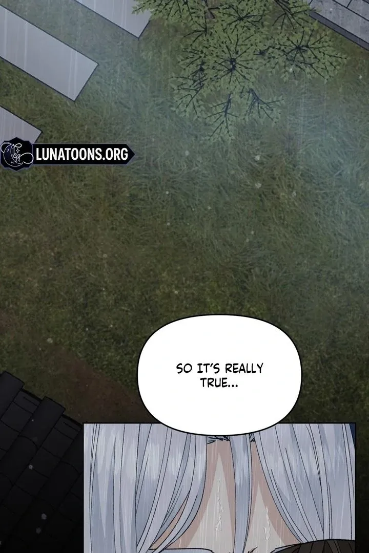 The white-haired merman Chapter 14 page 4 - 