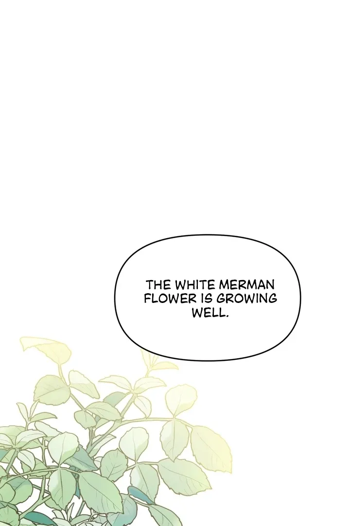 The white-haired merman Chapter 4 page 2 - 