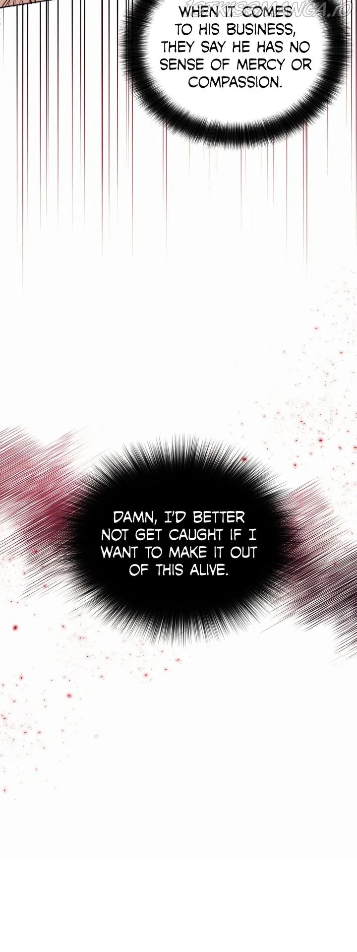 The White Lion’s Secret Bride Chapter 1 page 24 - 