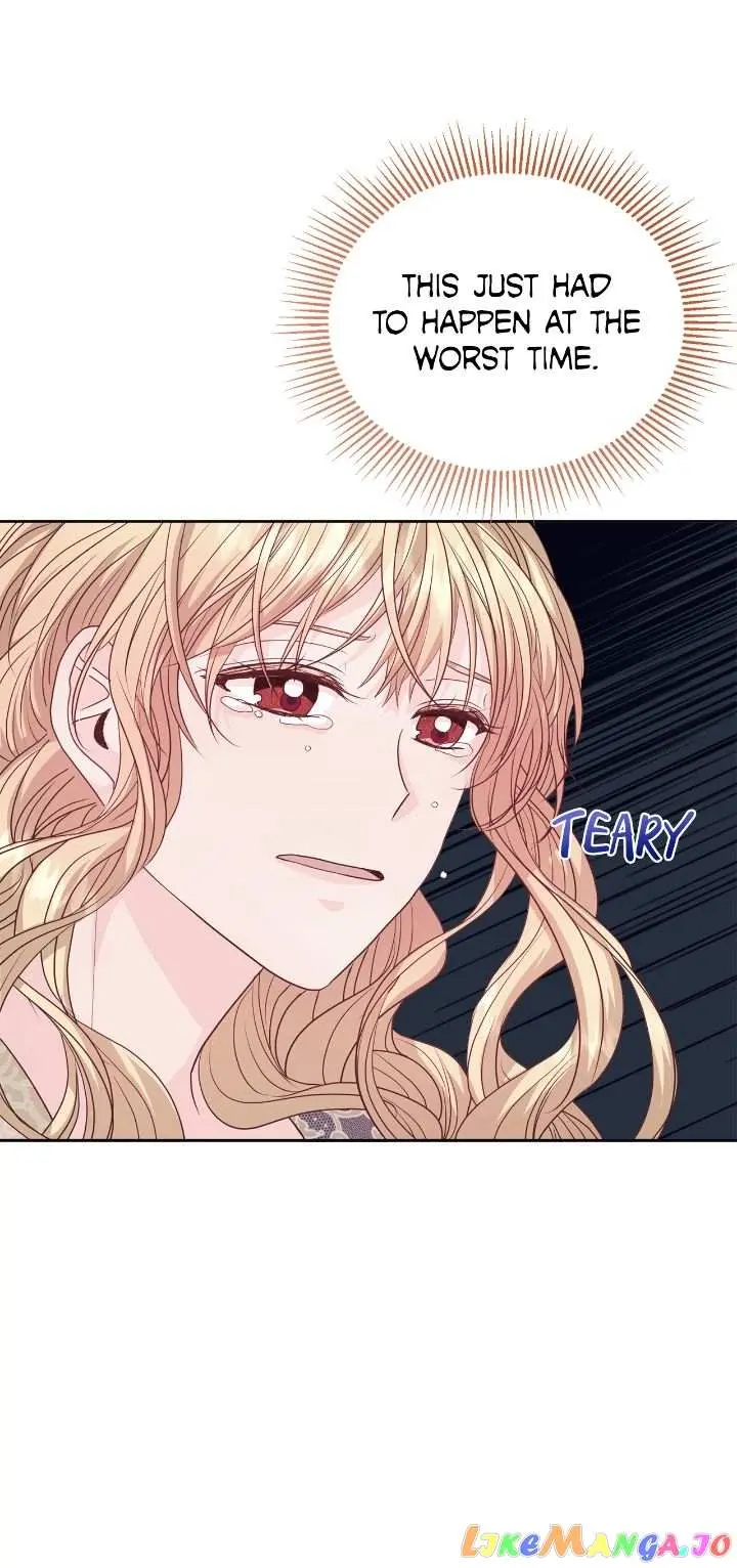 The White Lion’s Secret Bride Chapter 43 page 15 - 