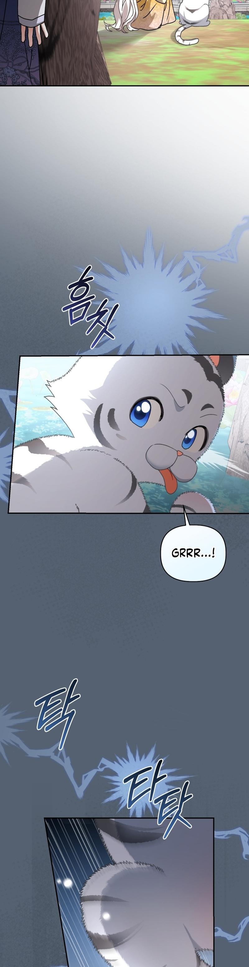 The White Tiger Clan
