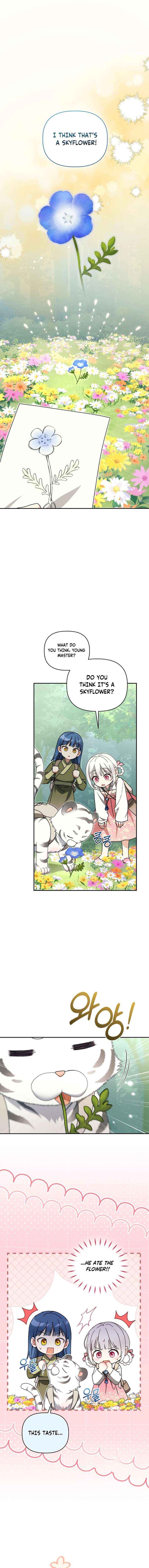 The White Tiger Clan
