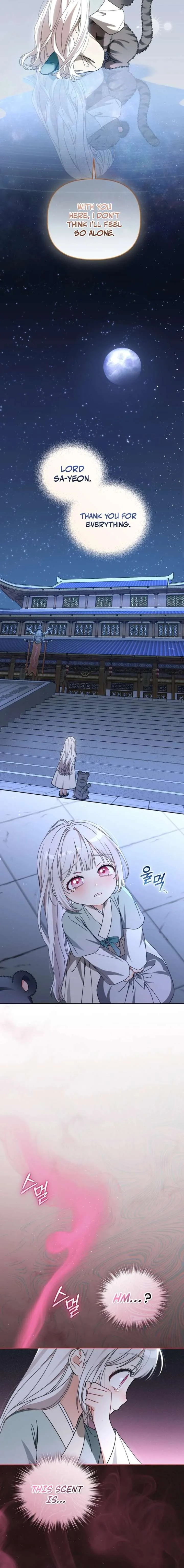 The White Tiger Clan