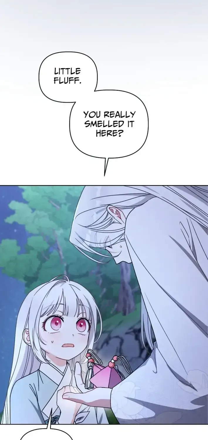 The White Tiger Clan