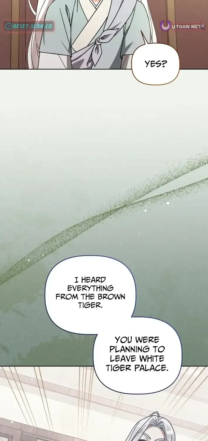 The White Tiger Clan