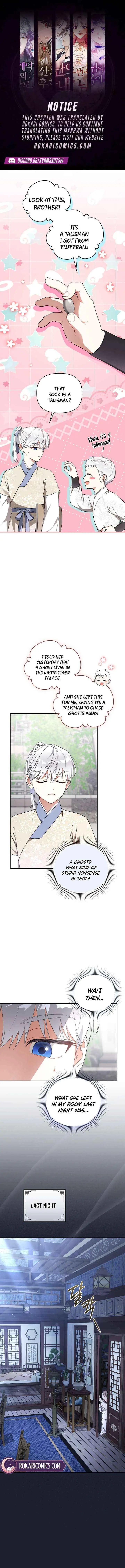 Baby Cotton Ball of the White Tiger Clan Chapter 13 page 1 - 